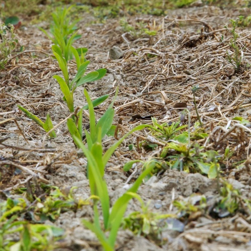 Puclice Simulator-0168.jpg