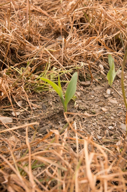 Puclice Simulator-0193.jpg