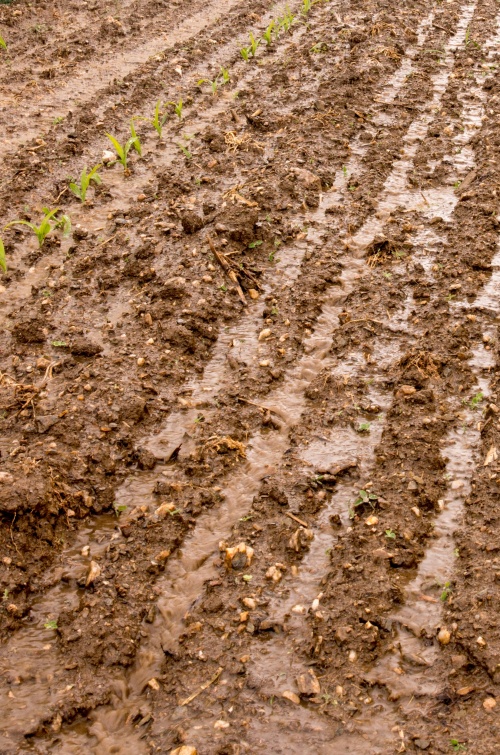 Puclice Simulator-0254.jpg