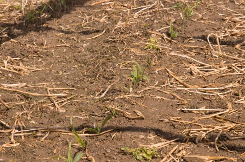 Puclice Simulator-0260.jpg