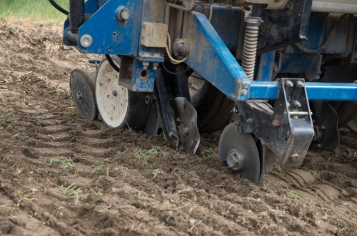 Puclice seti-8857.jpg