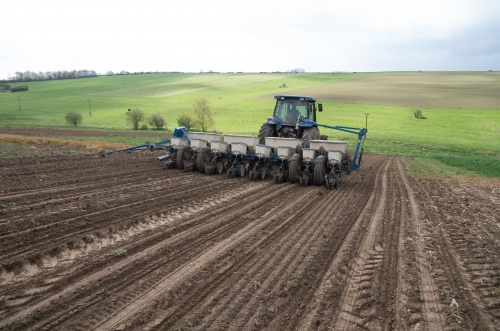 Puclice seti-8863.jpg