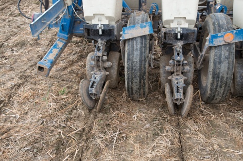 Puclice seti-8871.jpg