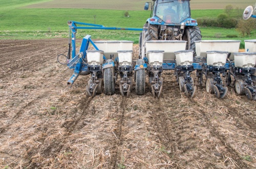 Puclice seti-8877.jpg